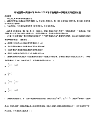 郸城县第一高级中学2024-2025学年物理高一下期末复习检测试题含解析