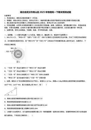湖北省武汉市青山区2025年物理高一下期末预测试题含解析