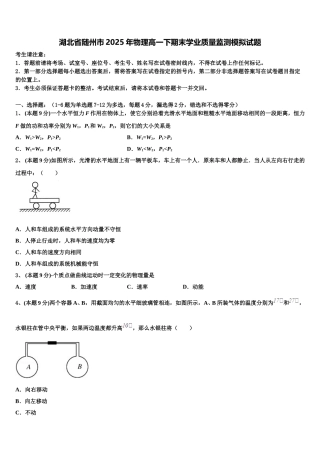 湖北省随州市2025年物理高一下期末学业质量监测模拟试题含解析