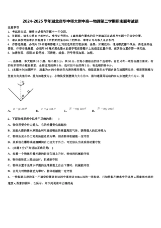 2024-2025学年湖北省华中师大附中高一物理第二学期期末联考试题含解析