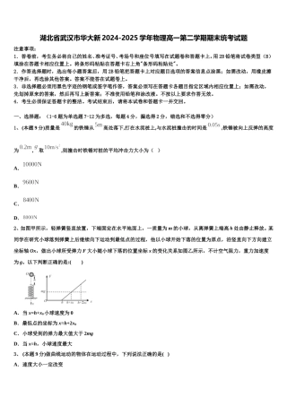 湖北省武汉市华大新2024-2025学年物理高一第二学期期末统考试题含解析