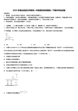 2025年湖北省武汉市新洲一中阳逻校区物理高一下期末考试试题含解析