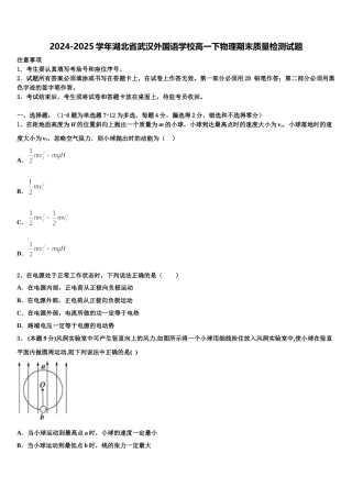 2024-2025学年湖北省武汉外国语学校高一下物理期末质量检测试题含解析