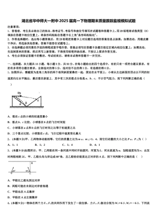 湖北省华中师大一附中2025届高一下物理期末质量跟踪监视模拟试题含解析