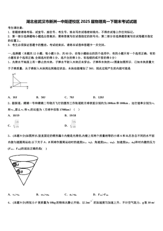 湖北省武汉市新洲一中阳逻校区2025届物理高一下期末考试试题含解析