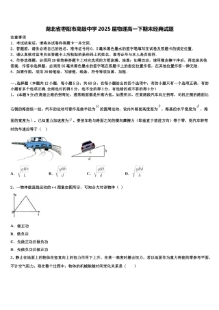 湖北省枣阳市高级中学2025届物理高一下期末经典试题含解析