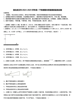 湖北武汉市2024-2025学年高一下物理期末质量跟踪监视试题含解析
