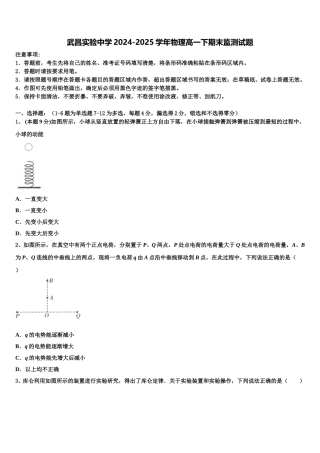 武昌实验中学2024-2025学年物理高一下期末监测试题含解析