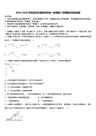 2024-2025学年武汉外国语学校高一物理第二学期期末检测试题含解析