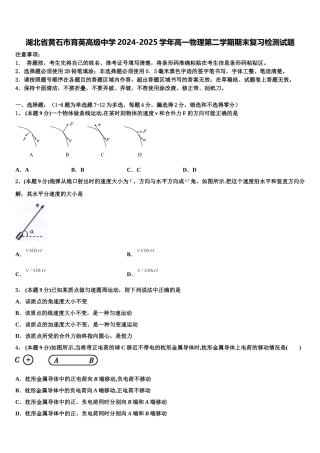 湖北省黄石市育英高级中学2024-2025学年高一物理第二学期期末复习检测试题含解析
