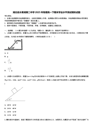 湖北省水果湖第二中学2025年物理高一下期末学业水平测试模拟试题含解析