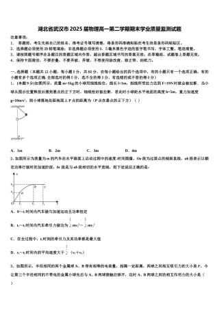 湖北省武汉市2025届物理高一第二学期期末学业质量监测试题含解析