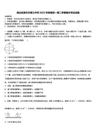 湖北省黄石市第三中学2025年物理高一第二学期期末考试试题含解析