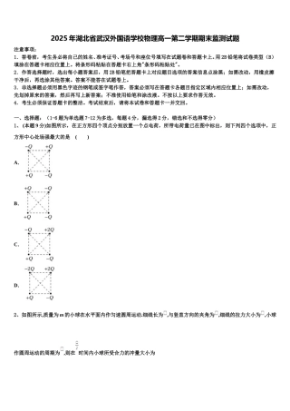 2025年湖北省武汉外国语学校物理高一第二学期期末监测试题含解析