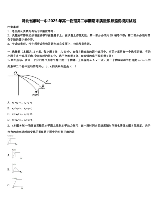 湖北省麻城一中2025年高一物理第二学期期末质量跟踪监视模拟试题含解析