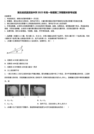 湖北省武昌实验中学2025年高一物理第二学期期末联考试题含解析