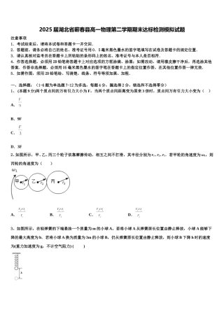 2025届湖北省蕲春县高一物理第二学期期末达标检测模拟试题含解析