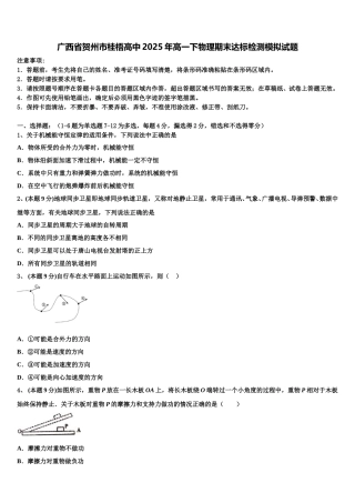 广西省贺州市桂梧高中2025年高一下物理期末达标检测模拟试题含解析