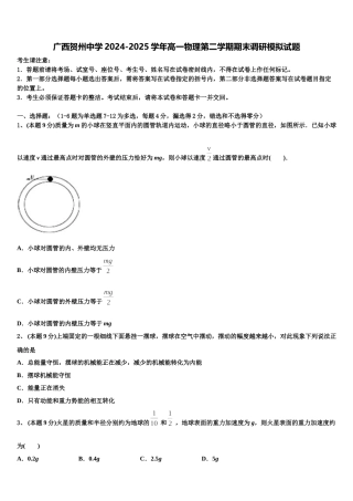 广西贺州中学2024-2025学年高一物理第二学期期末调研模拟试题含解析