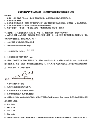 2025年广西玉林高中高一物理第二学期期末检测模拟试题含解析