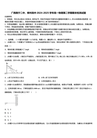 广西南宁二中、柳州高中2024-2025学年高一物理第二学期期末检测试题含解析