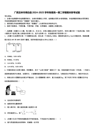 广西玉林市博白县2024-2025学年物理高一第二学期期末联考试题含解析