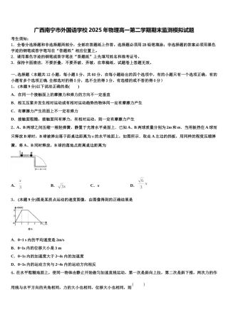 广西南宁市外国语学校2025年物理高一第二学期期末监测模拟试题含解析