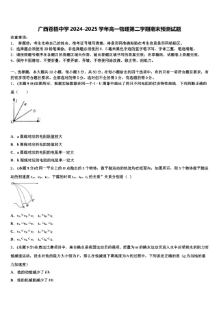 广西苍梧中学2024-2025学年高一物理第二学期期末预测试题含解析