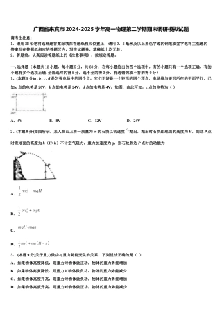 广西省来宾市2024-2025学年高一物理第二学期期末调研模拟试题含解析
