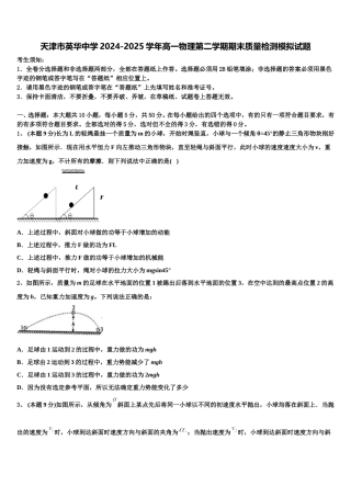 天津市英华中学2024-2025学年高一物理第二学期期末质量检测模拟试题含解析