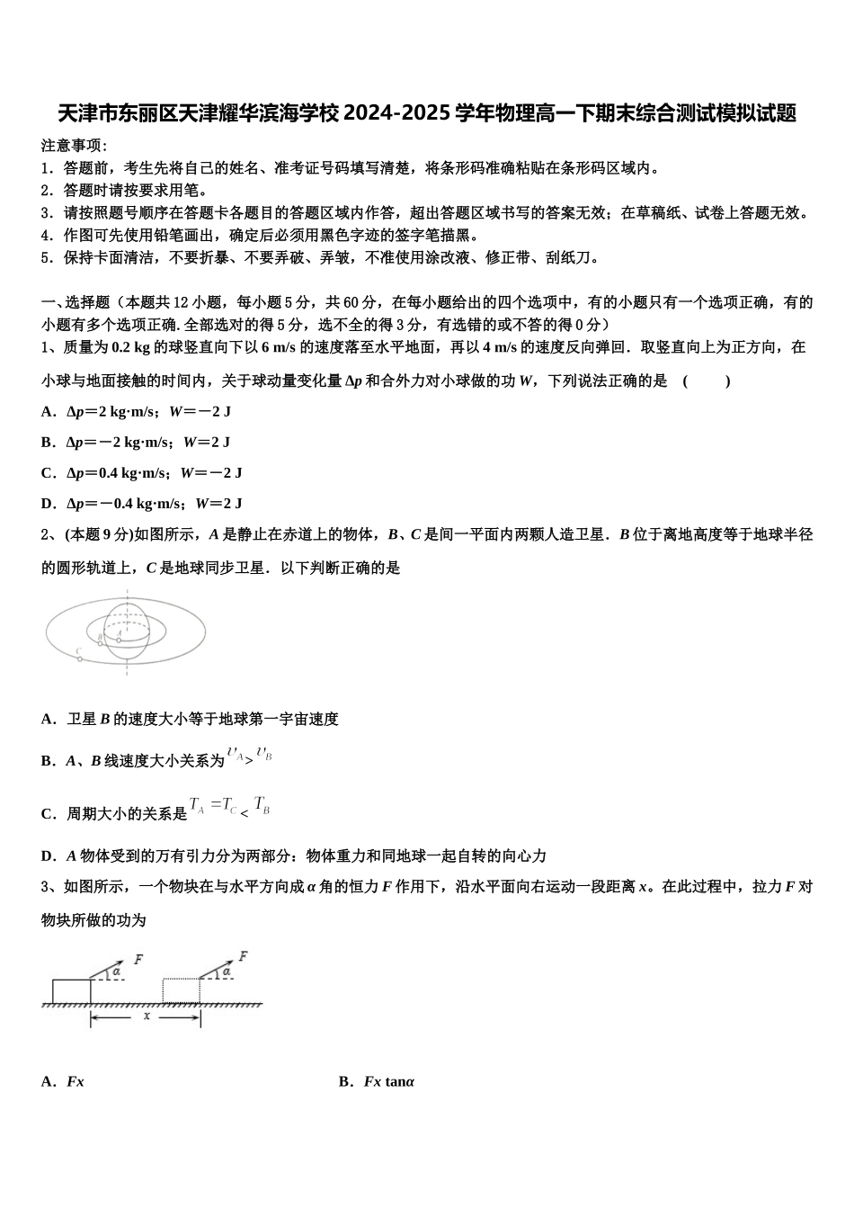 天津市东丽区天津耀华滨海学校2024-2025学年物理高一下期末综合测试模拟试题含解析_第1页