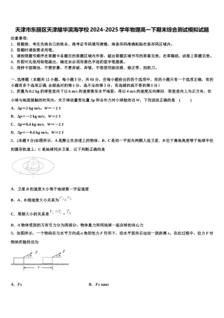 天津市东丽区天津耀华滨海学校2024-2025学年物理高一下期末综合测试模拟试题含解析