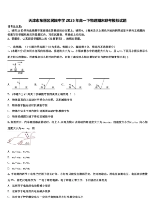 天津市东丽区民族中学2025年高一下物理期末联考模拟试题含解析