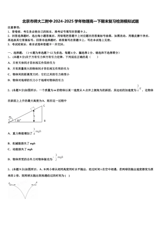 北京市师大二附中2024-2025学年物理高一下期末复习检测模拟试题含解析