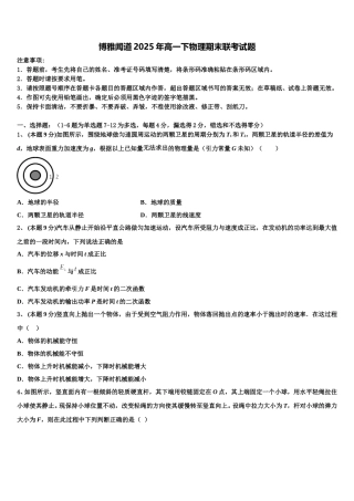 博雅闻道2025年高一下物理期末联考试题含解析