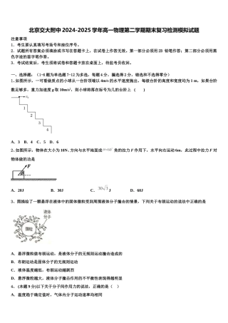 北京交大附中2024-2025学年高一物理第二学期期末复习检测模拟试题含解析