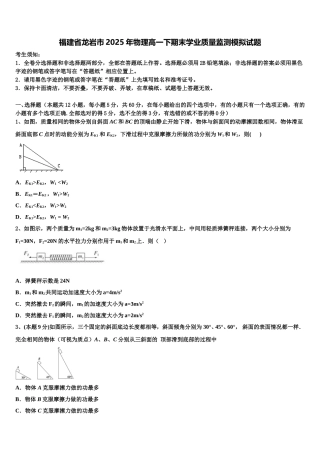 福建省龙岩市2025年物理高一下期末学业质量监测模拟试题含解析