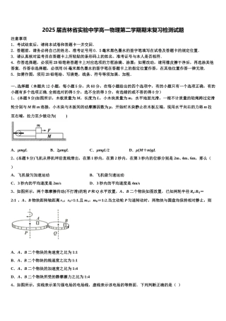 2025届吉林省实验中学高一物理第二学期期末复习检测试题含解析
