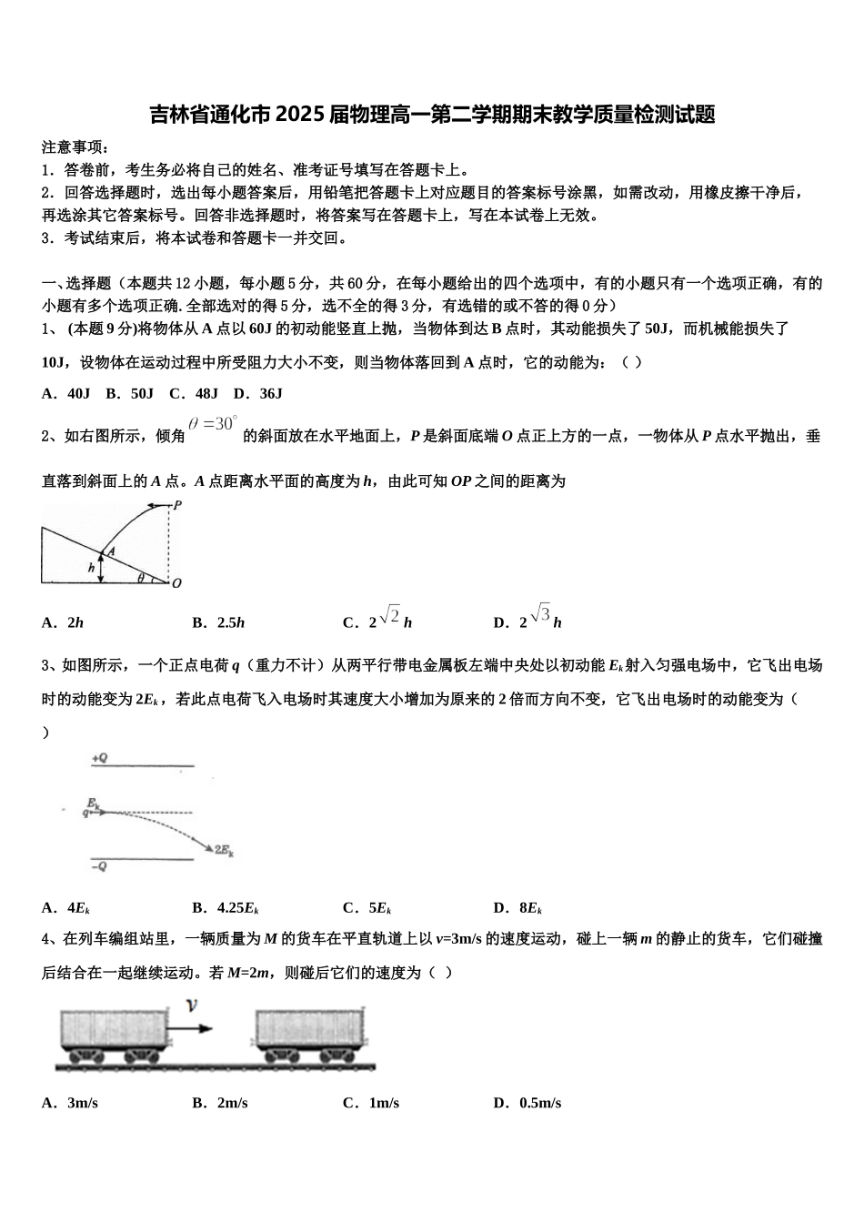 吉林省通化市2025届物理高一第二学期期末教学质量检测试题含解析_第1页