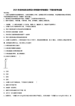 2025年吉林省东北师范大学附属中学物理高一下期末联考试题含解析