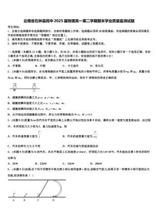 云南省石林县民中2025届物理高一第二学期期末学业质量监测试题含解析