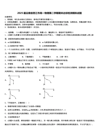 2025届云南省怒江市高一物理第二学期期末达标检测模拟试题含解析