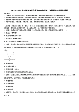 2024-2025学年临沧市重点中学高一物理第二学期期末检测模拟试题含解析
