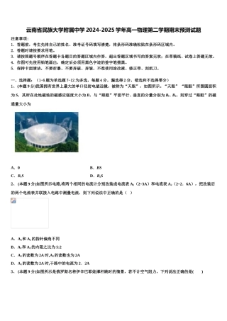 云南省民族大学附属中学2024-2025学年高一物理第二学期期末预测试题含解析