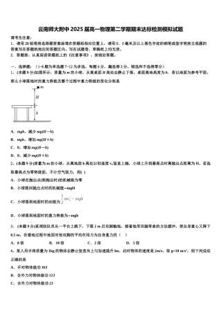 云南师大附中2025届高一物理第二学期期末达标检测模拟试题含解析