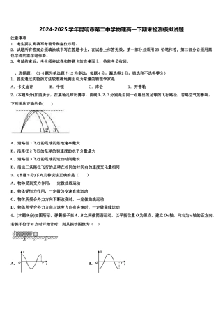 2024-2025学年昆明市第二中学物理高一下期末检测模拟试题含解析