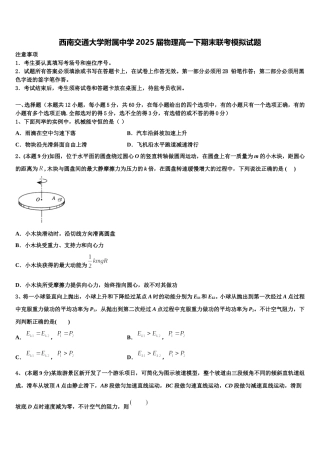 西南交通大学附属中学2025届物理高一下期末联考模拟试题含解析