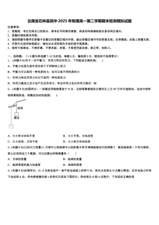 云南省石林县民中2025年物理高一第二学期期末检测模拟试题含解析