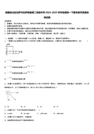 西藏自治区拉萨市拉萨那曲第二高级中学2024-2025学年物理高一下期末教学质量检测试题含解析
