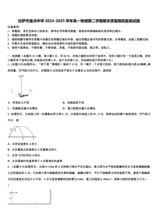 拉萨市重点中学2024-2025学年高一物理第二学期期末质量跟踪监视试题含解析